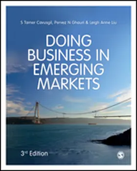 Doing Business in Emerging Markets