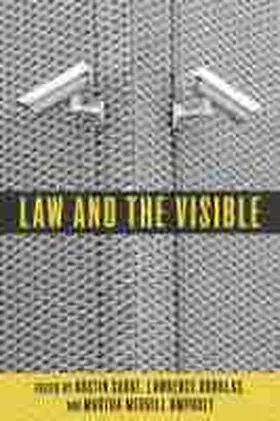 Law and the Visible