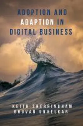 Adoption and Adaption in Digital Business
