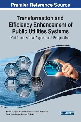 Transformation and Efficiency Enhancement of Public Utilities Systems