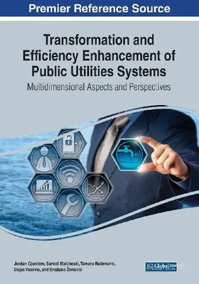 Transformation and Efficiency Enhancement of Public Utilities Systems