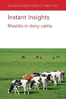 Instant Insights