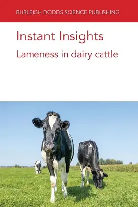 Instant Insights