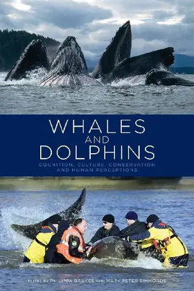 Whales and Dolphins