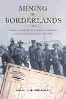 Mining the Borderlands: Industry, Capital, and the Emergence of Engineers in the Southwest Territories, 1855-1910