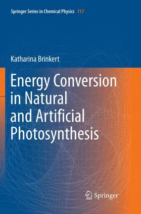 Energy Conversion in Natural and Artificial Photosynthesis