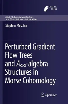 Perturbed Gradient Flow Trees and A¿-algebra Structures in Morse Cohomology