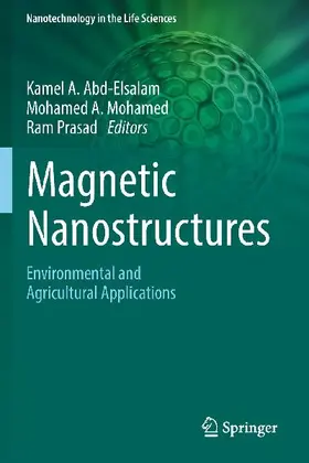 Magnetic Nanostructures