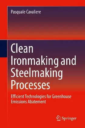 Clean Ironmaking and Steelmaking Processes
