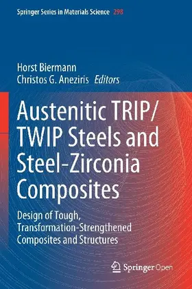 Austenitic TRIP/TWIP Steels and Steel-Zirconia Composites