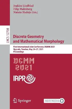 Discrete Geometry and Mathematical Morphology