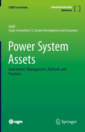 Power System Assets