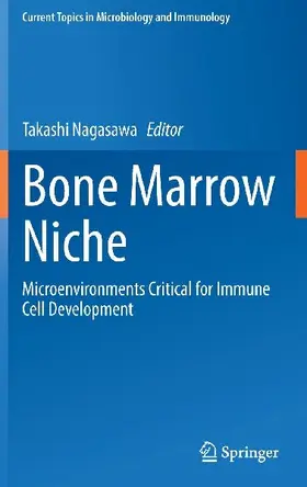 Bone Marrow Niche