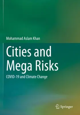Cities and Mega Risks
