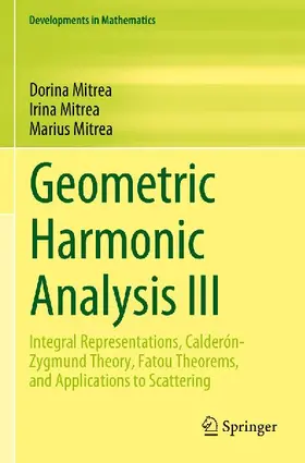 Geometric Harmonic Analysis III