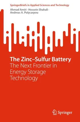 The Zinc¿Sulfur Battery