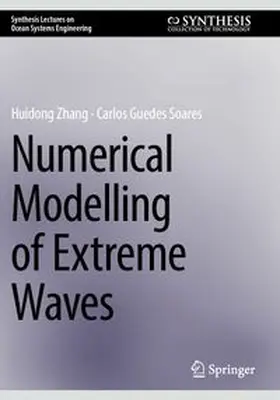 Numerical Modelling of Extreme Waves