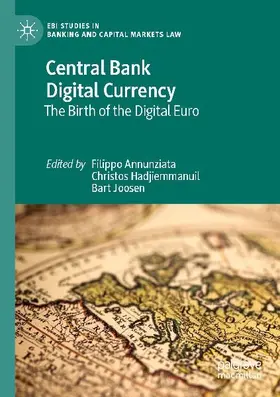 Central Bank Digital Currency