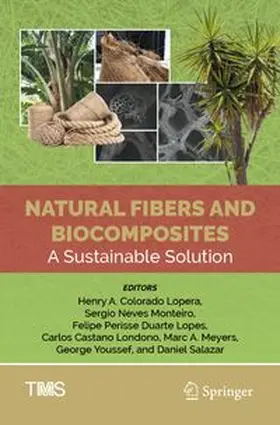 Natural Fibers and Biocomposites