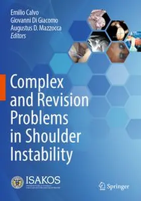 Complex and Revision Problems in Shoulder Instability