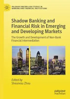 Shadow Banking and Financial Risk in Emerging and Developing Markets