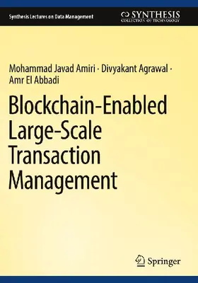 Blockchain-Enabled Large-Scale Transaction Management
