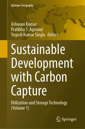 Sustainable Development with Carbon Capture