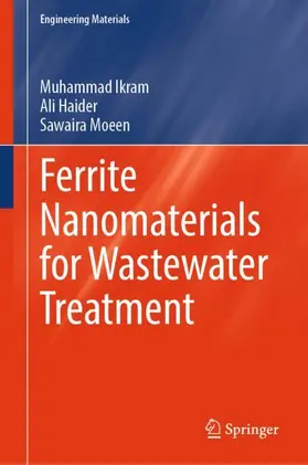 Ferrite Nanomaterials for Wastewater Treatment