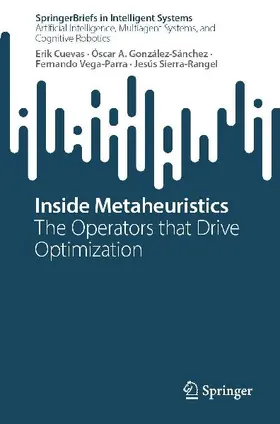 Inside Metaheuristics