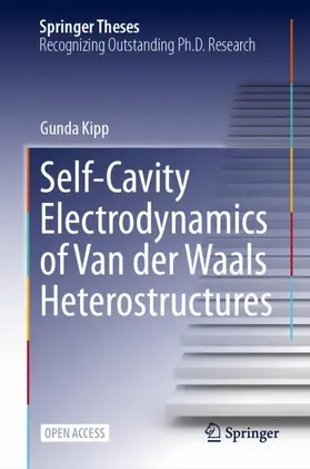 Self-Cavity Electrodynamics of Van der Waals Heterostructures