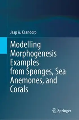 Modelling Morphogenesis Examples from Sponges, Sea Anemones, and Corals