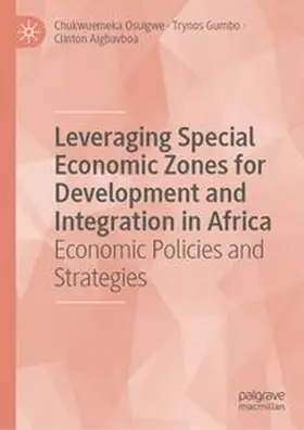 Leveraging Special Economic Zones for Development and Integration in Africa