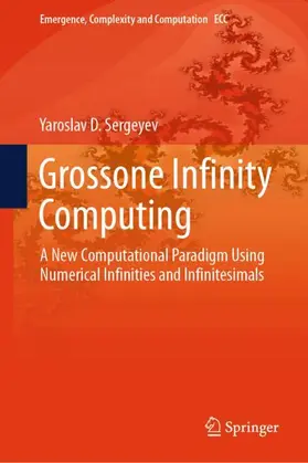 Grossone Infinity Computing