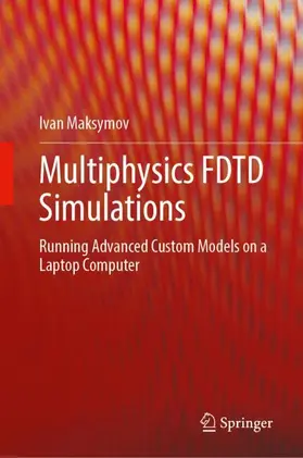 Multiphysics FDTD Simulations
