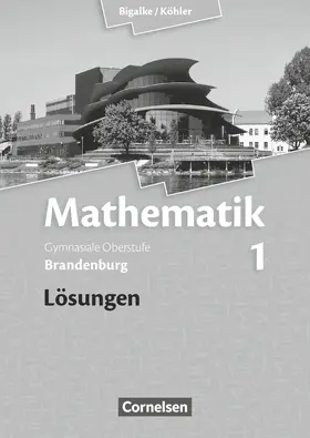 Bigalke/Köhler: Mathematik - Brandenburg - Ausgabe 2013 - Band 1
