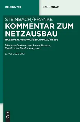 Kommentar zum Netzausbau
