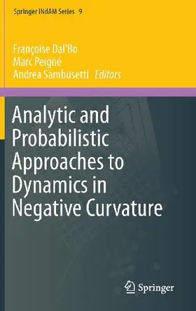 Analytic and Probabilistic Approaches to Dynamics in Negative Curvature