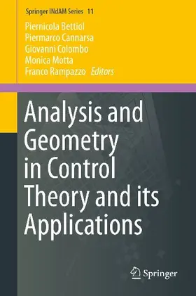 Analysis and Geometry in Control Theory and its Applications