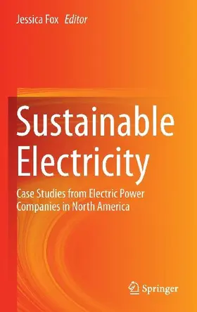 Sustainable Electricity
