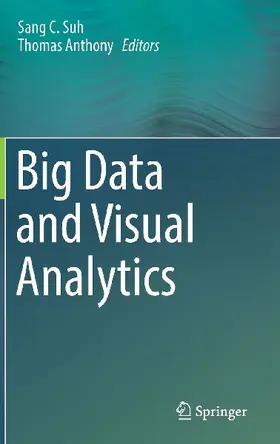 Big Data and Visual Analytics
