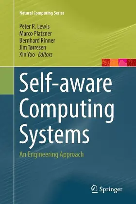 Self-aware Computing Systems