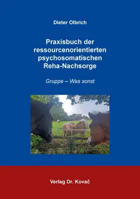 Praxisbuch der ressourcenorientierten psychosomatischen Reha-Nachsorge