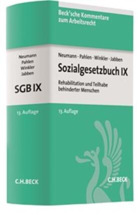 Sozialgesetzbuch IX: SGB IX