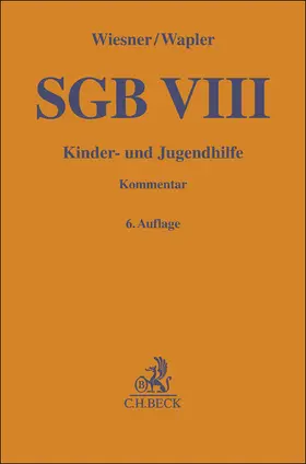 SGB VIII
