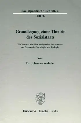Grundlegung einer Theorie des Sozialstaats.