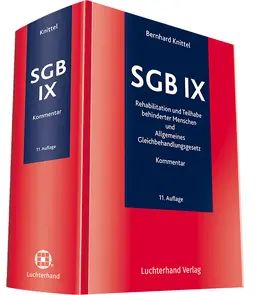 SGB IX