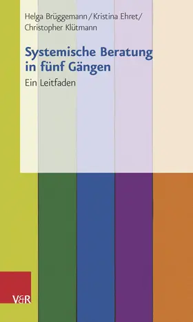 Systemische Beratung in fünf Gängen