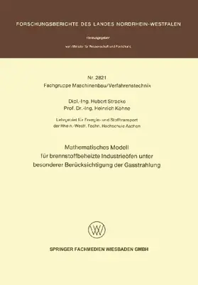 Mathematisches Modell für brennstoffbeheizte Industrieöfen unter besonderer Berücksichtigung der Gasstrahlung