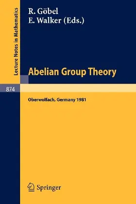 Abelian Group Theory