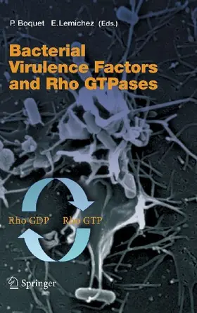 Bacterial Virulence Factors and Rho GTPases